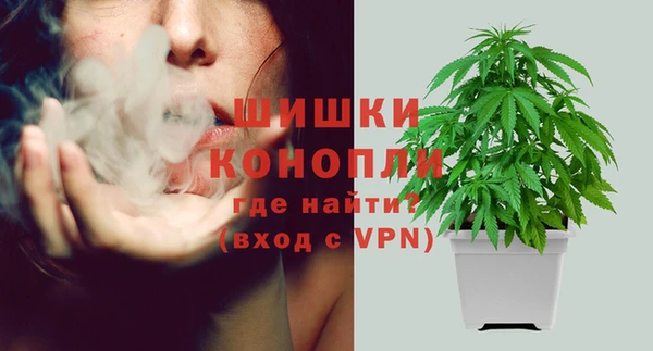 трава Покачи