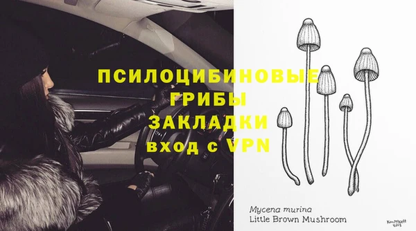 ГАЛЛЮЦИНОГЕННЫЕ ГРИБЫ Пересвет