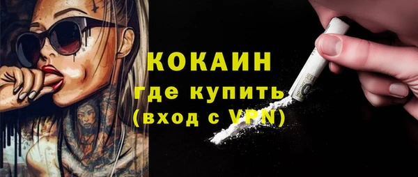 ГАЛЛЮЦИНОГЕННЫЕ ГРИБЫ Пересвет