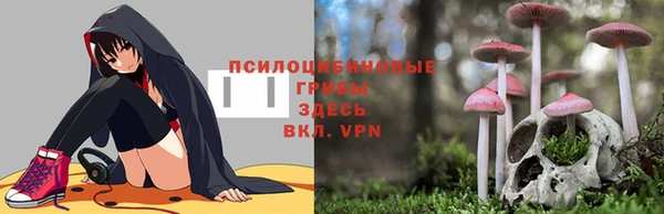 гашиш Переславль-Залесский