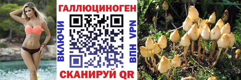 закладка  маркетплейс как зайти  Псилоцибиновые грибы MAGIC MUSHROOMS  Разумное 