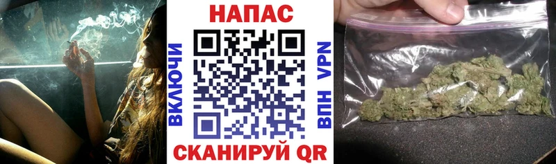 наркотики  Разумное  Бошки Шишки конопля 